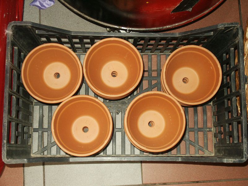 pict0035